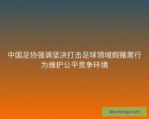 中国足协强调坚决打击足球领域假赌黑行为维护公平竞争环境