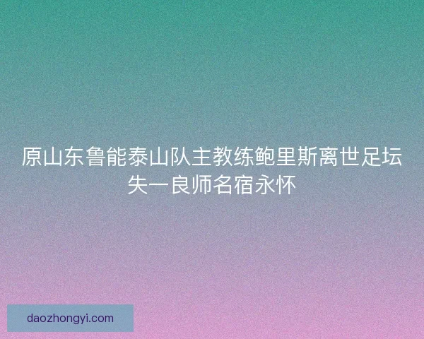 原山东鲁能泰山队主教练鲍里斯离世足坛失一良师名宿永怀